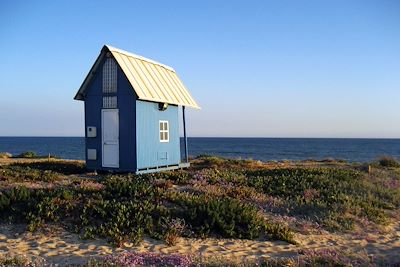 Ria Formosa - Algarve - Portugal