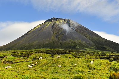 Le Pico - Pico - Acores - Portugal