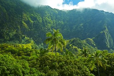 Paysage à Hiva Oa - Archipel des Marquises - Polynésie française