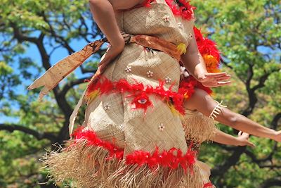 Détails de costume de polynésien 