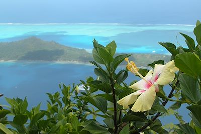 Tahiti - Archipel de la Societé - Polynésie