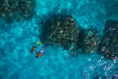 Baignade - Snorkeling Polynésie