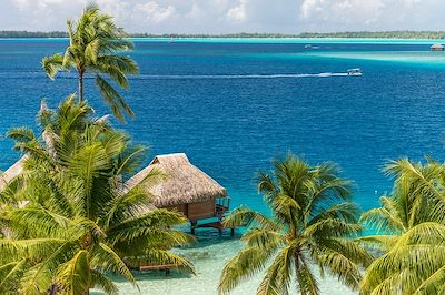 Maitai Polynesia Bora Bora - Bora Bora - Polynésie française