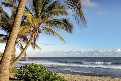 Plage de Grande-Anse - La Réunion