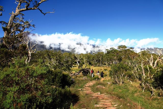 Voyage Randonnée sur l'île volcan