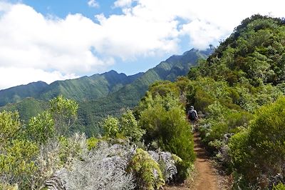 Massif du Dimitile - La Réunion