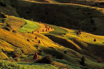 Vallée de l'Iza - Maramures - Roumanie