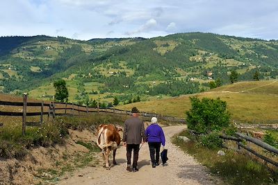 Vallée de l'Aries - Munti Apuseni - Roumanie