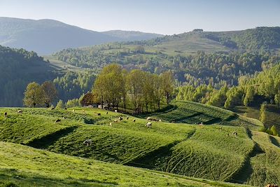 Paysage dans les Monts Apuseni - Roumanie