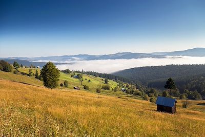 Paysages de Bucovine - Roumanie