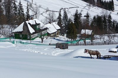 Village typique en Bucovine - Roumanie