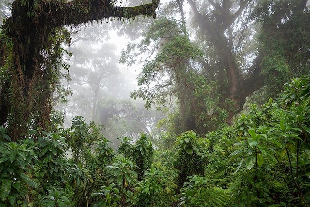 Voyage Randonnée et rencontres au pays des mille collines