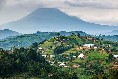 Parc national des Virunga - Rwanda