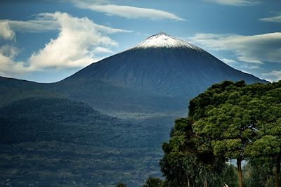 Parc national des volcans - Rwanda