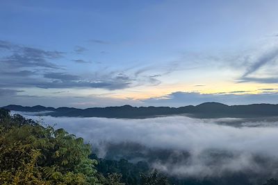 Brume - Parc de Nyunqwe - Rwanda