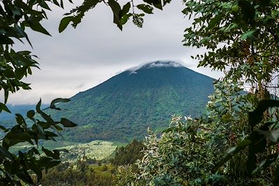 Bisate Lodge - Parc National des Volcans - Rwanda