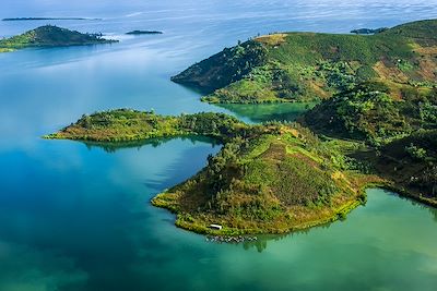 Nyungwe - Rwanda