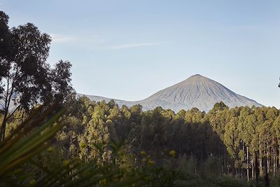 One&Only Gorilla's Nest - Parc National des Volcans - Rwanda