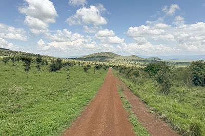 Parc national de l'Akagera - Rwanda