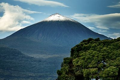 Parc national des volcans - Rwanda