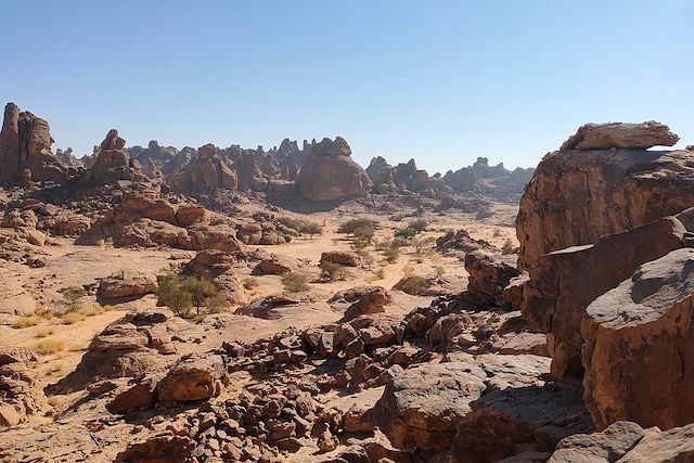 Voyage Désert du Nefoud et trésor d'Al Ula