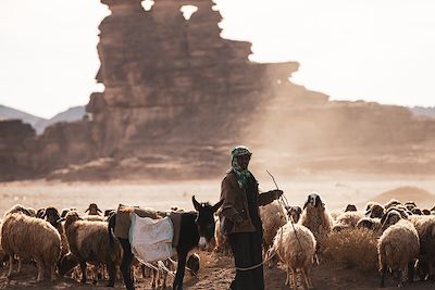 vallée d'Al Disah - Tabuk - Arabie Saoudite