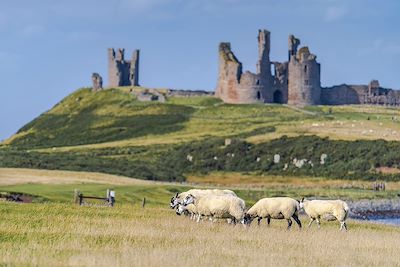  Château de Dunstanburgh