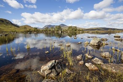 Highlands - Ecosse 