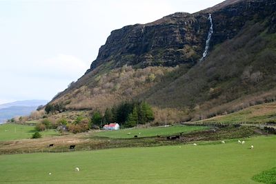 Île de Mull - Ecosse - Royaume-Uni