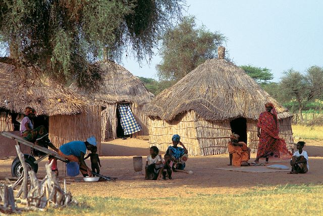 Voyage Vie sauvage dans le delta du Siné Saloum