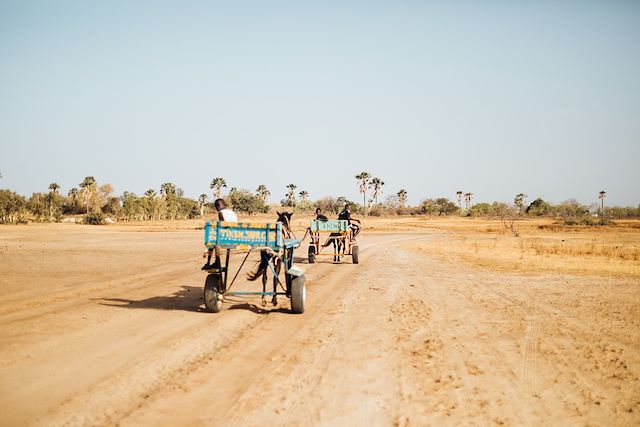 Voyage Randonnée au pays des griots