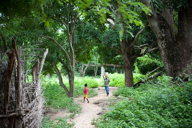 Voyage Randonnées au cœur de la Casamance