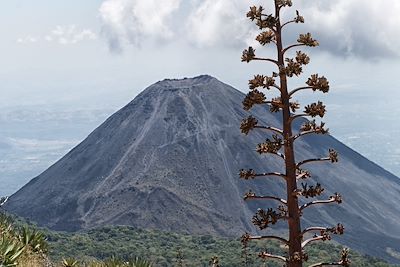 Vue du volcan Izalco depuis le volcan Santa Ana dans le parc national de Cerro Verde - Salvador