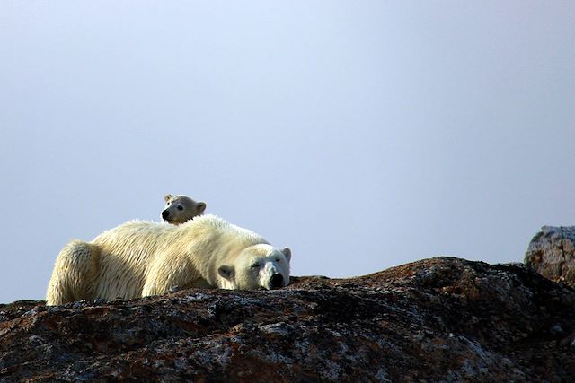 Voyage Dans les glaces du Spitzberg