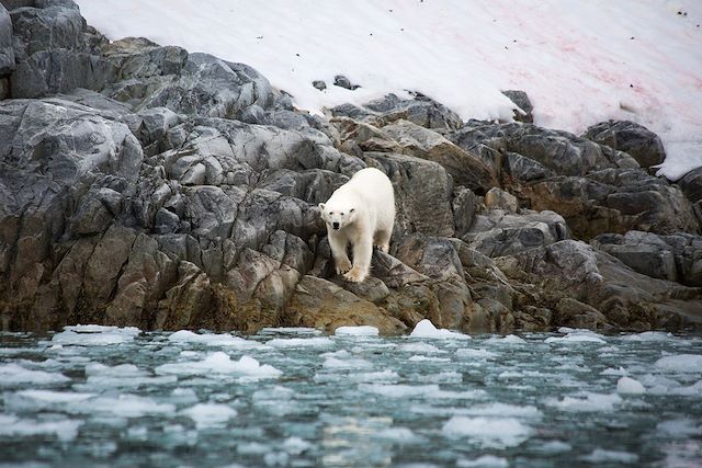 Voyage Svalbard : Histoire et découverte de Kvitøya