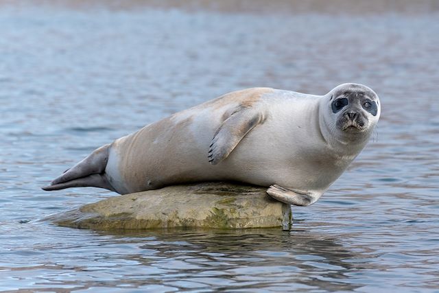 Voyage Svalbard : Histoire et découverte de Kvitøya