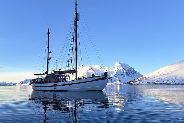 Voyage En kayak sur les rives de l'océan glacial arctique