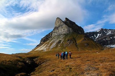 Alkhornet - Spitzberg - Norvège