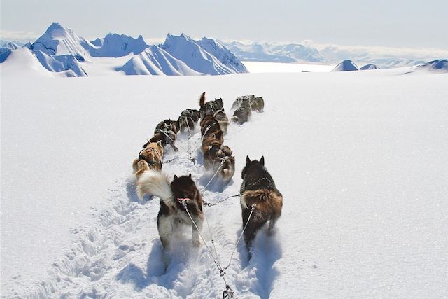 Voyage Découverte active en haut arctique