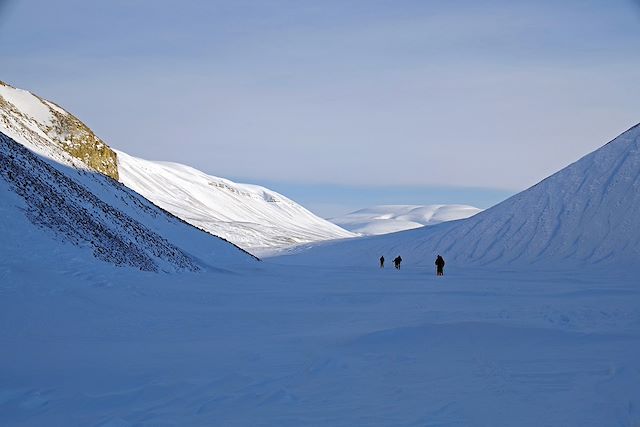 Voyage Sur la banquise avec les ours blanc au Spitzberg