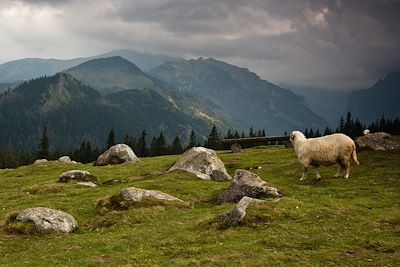 Massif des Tatras - Pologne