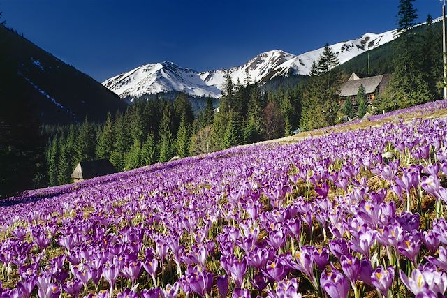 Voyage Du Paradis slovaque aux Hautes Tatras