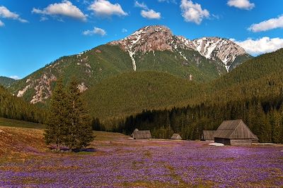 Tatras - Pologne