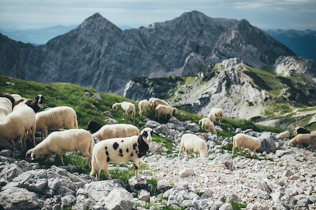 Voyage Parc national du Triglav et vallée de la Soca