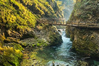 Gorge de Vintgar - Slovénie