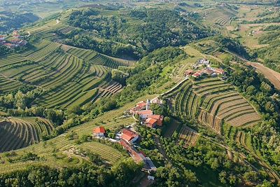 Goriska Brda - Slovénie