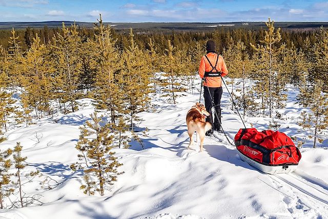 Voyage Raid en ski Altaï et chien de traineau