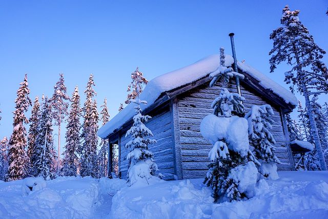 Voyage Traîneau à chiens au pays des Sami