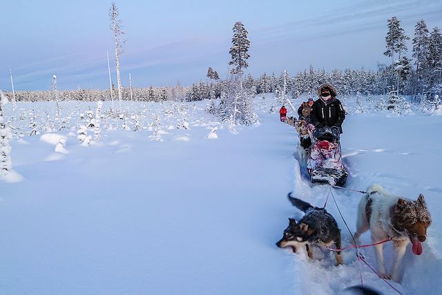 Voyage Traîneau à chiens au pays des Sami