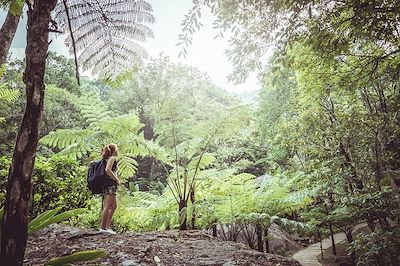 Voyage Forêts, collines, rivières et lacs Thailande